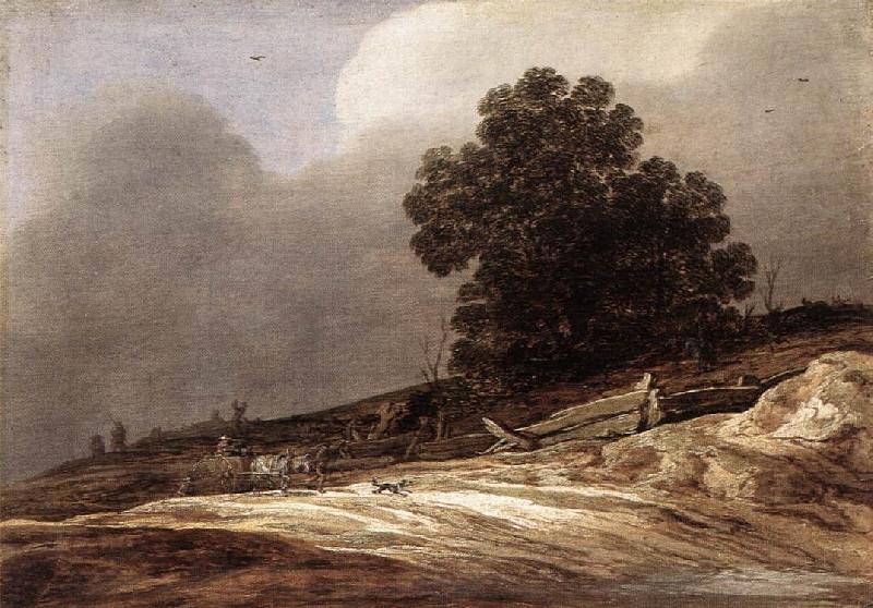 MOLYN, Pieter de Dunes g oil painting image
